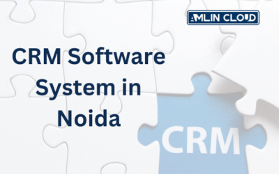 CRM Software System in Noida