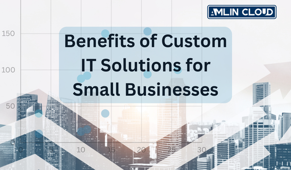 Benefits of Custom IT Solutions for Small Businesses